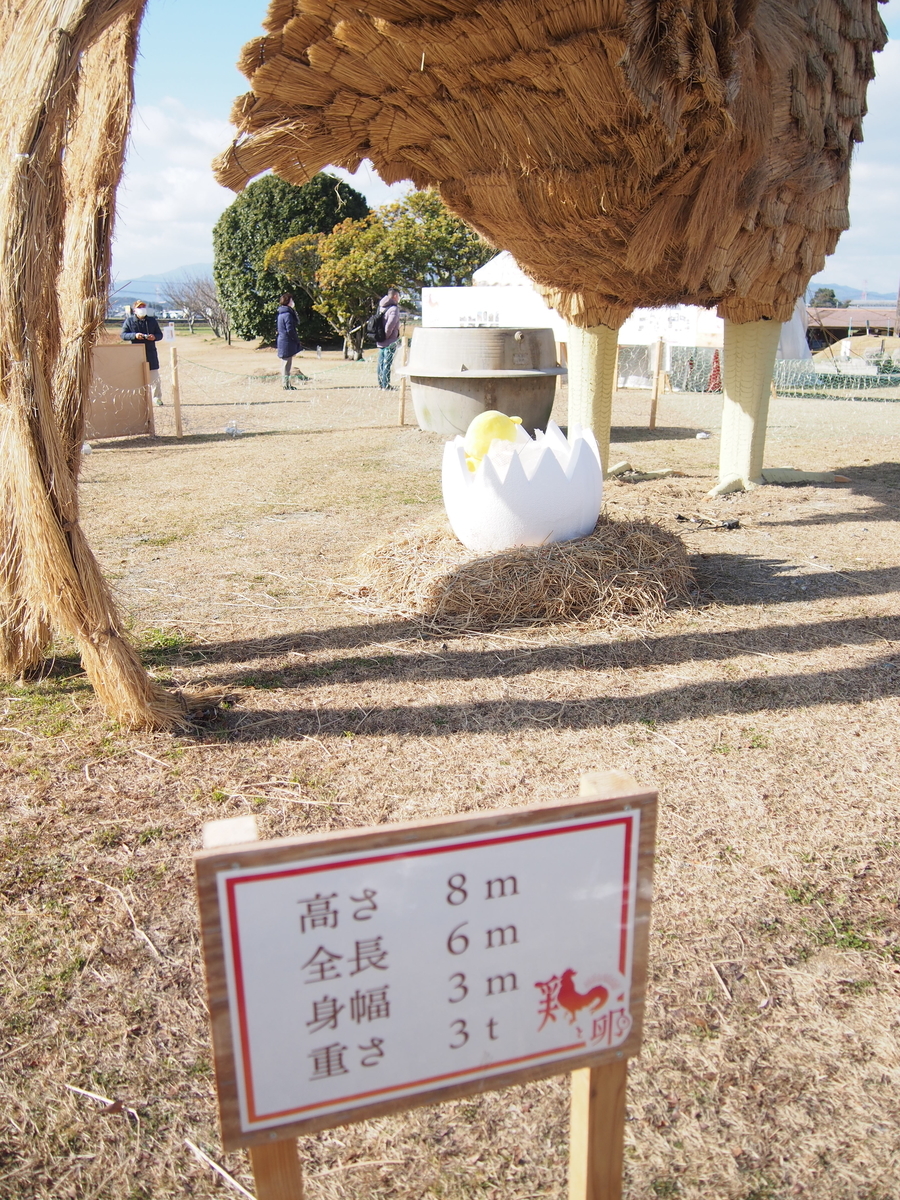 f:id:hanamizuki1966:20211230111520j:plain