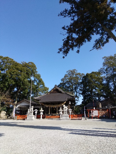 f:id:hanamizuki1966:20230208010357j:image