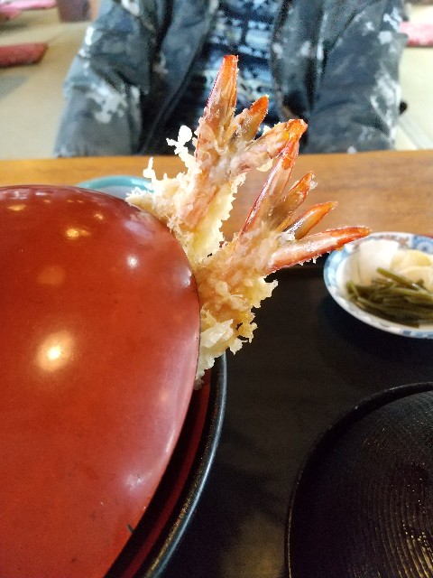 f:id:hanamizuki1966:20230208010521j:image