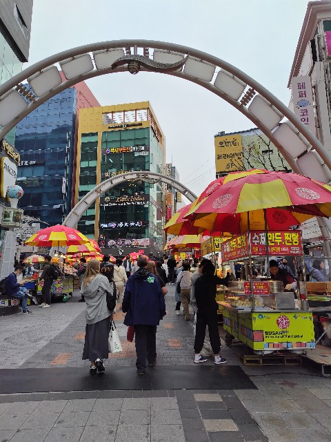 f:id:hanamizuki1966:20240416064546j:image