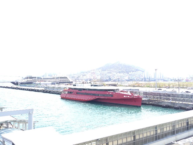 f:id:hanamizuki1966:20240421172605j:image