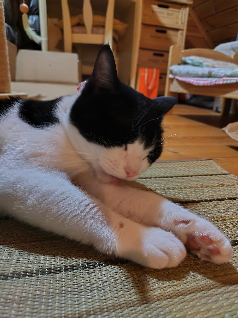 f:id:hanamizuki1966:20240719010105j:image