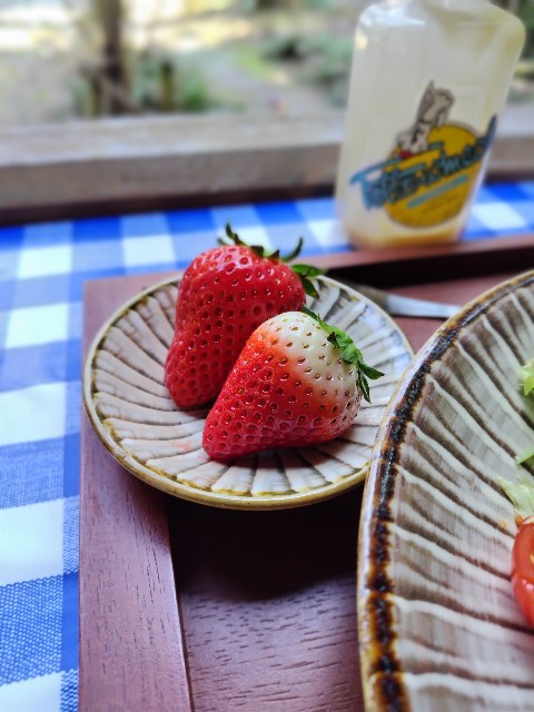 f:id:hanamizuki1966:20250324012940j:image