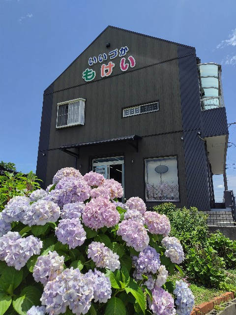 f:id:hanamizuki1966:20250621102530j:image