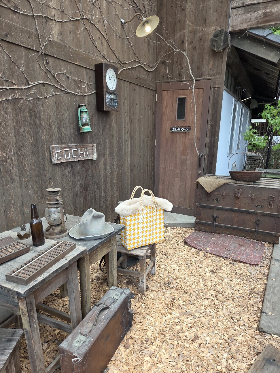 f:id:hanamizuki1966:20260304094151j:image