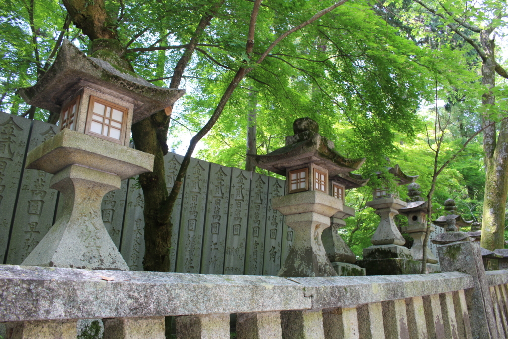 f:id:hanamotohodaka:20180520042552j:plain f:id:hanamotohodaka:20180520042552j:plain