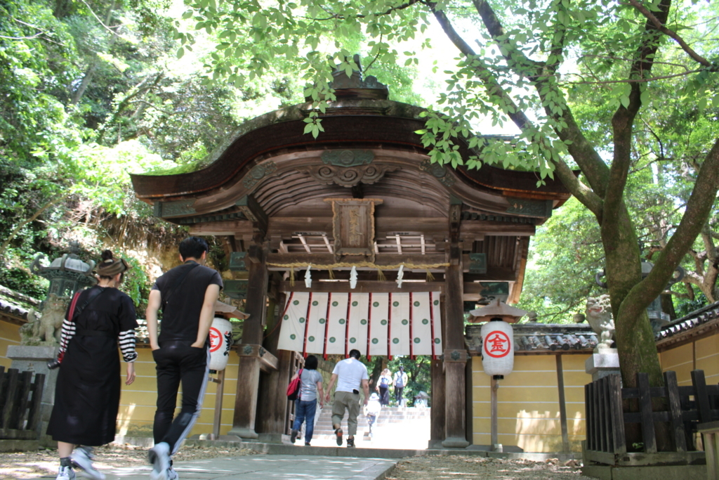 f:id:hanamotohodaka:20180520042804j:plain f:id:hanamotohodaka:20180520042804j:plain