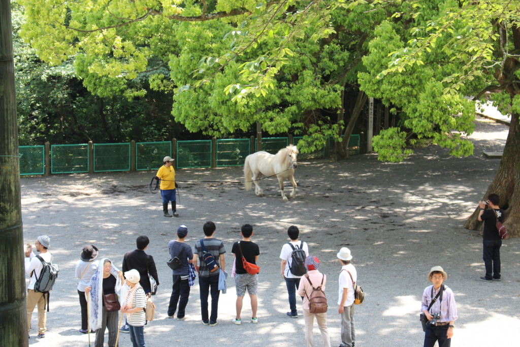 f:id:hanamotohodaka:20180520042931j:plain f:id:hanamotohodaka:20180520042931j:plain