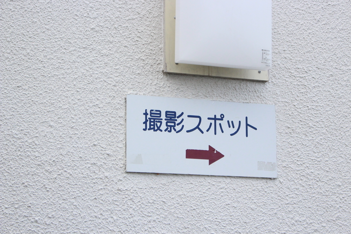 f:id:hanamotohodaka:20190421172130j:plain