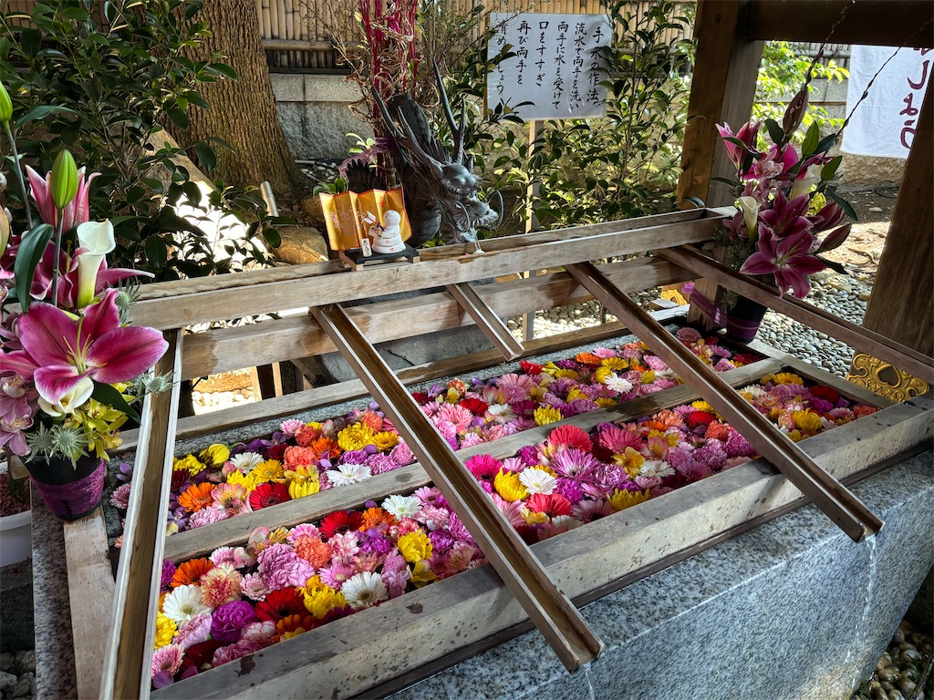 f:id:hanamotohodaka:20251231200949j:image