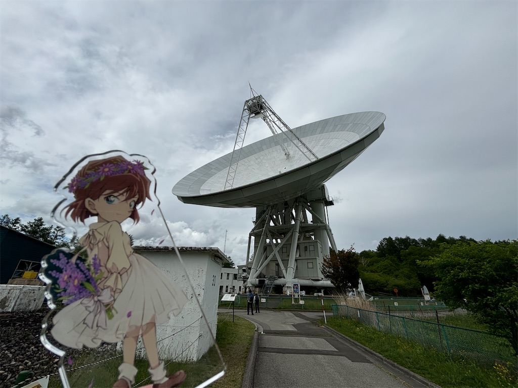 f:id:hanamotohodaka:20251231205331j:image