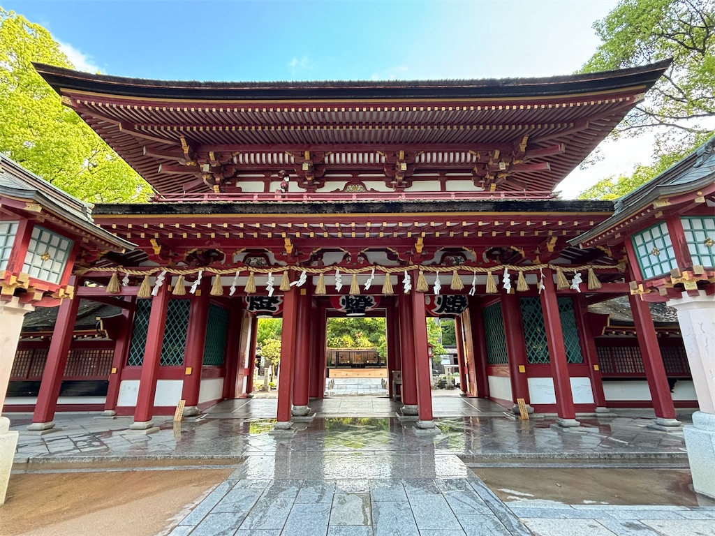 f:id:hanamotohodaka:20251231205722j:image