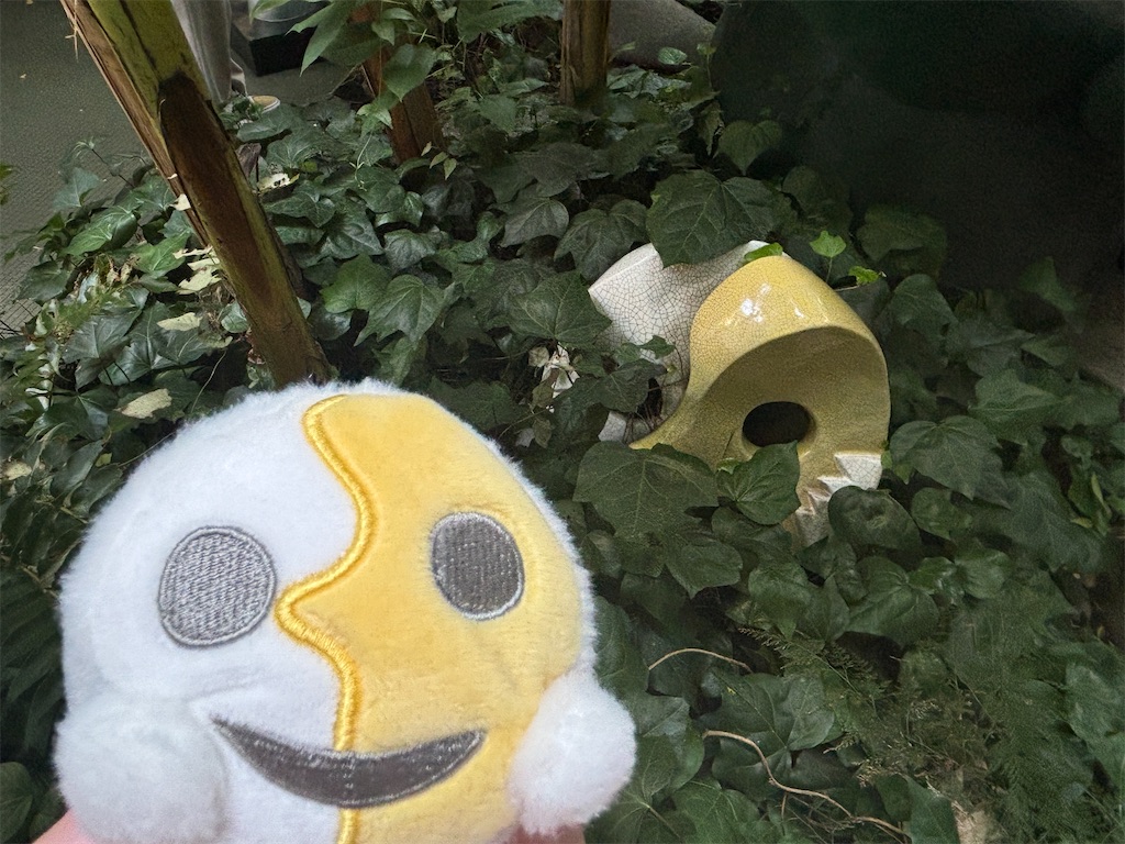 f:id:hanamotohodaka:20251231223738j:image