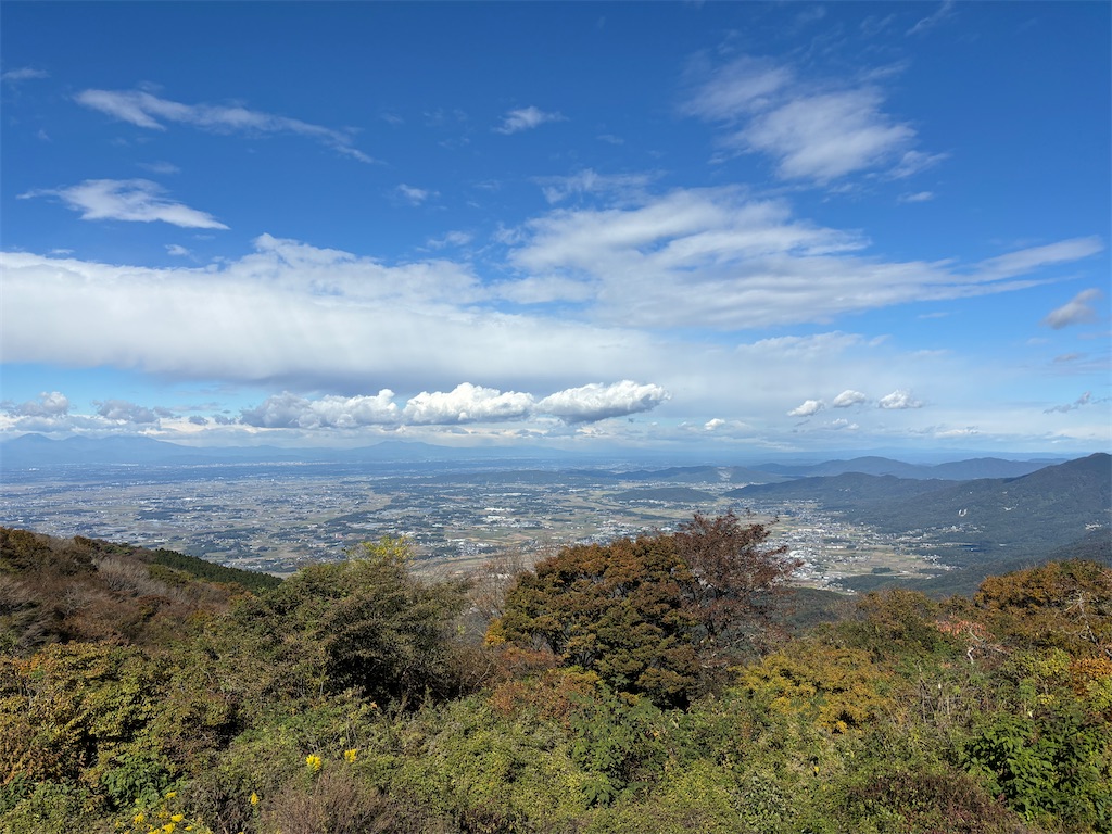 f:id:hanamotohodaka:20251231225859j:image