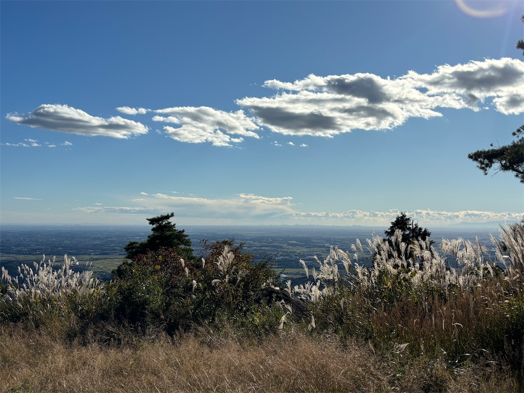 f:id:hanamotohodaka:20251231225901j:image