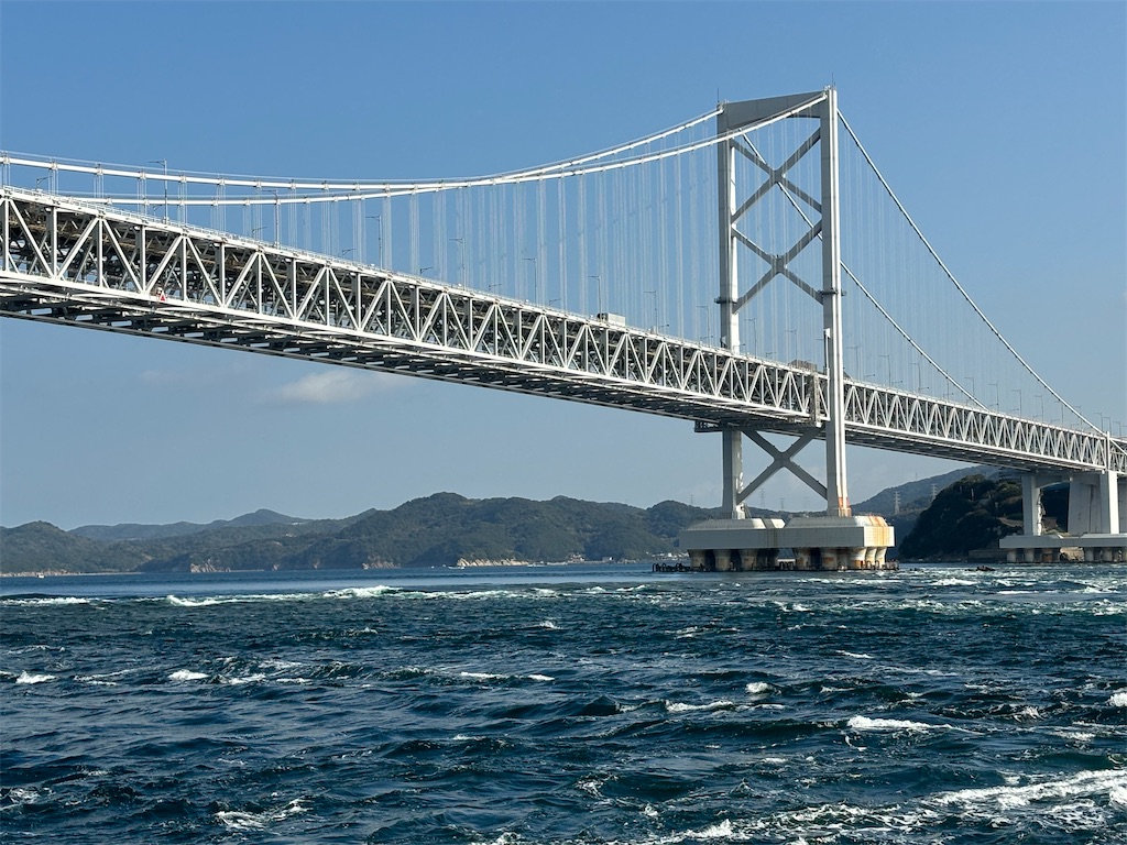f:id:hanamotohodaka:20251231231218j:image