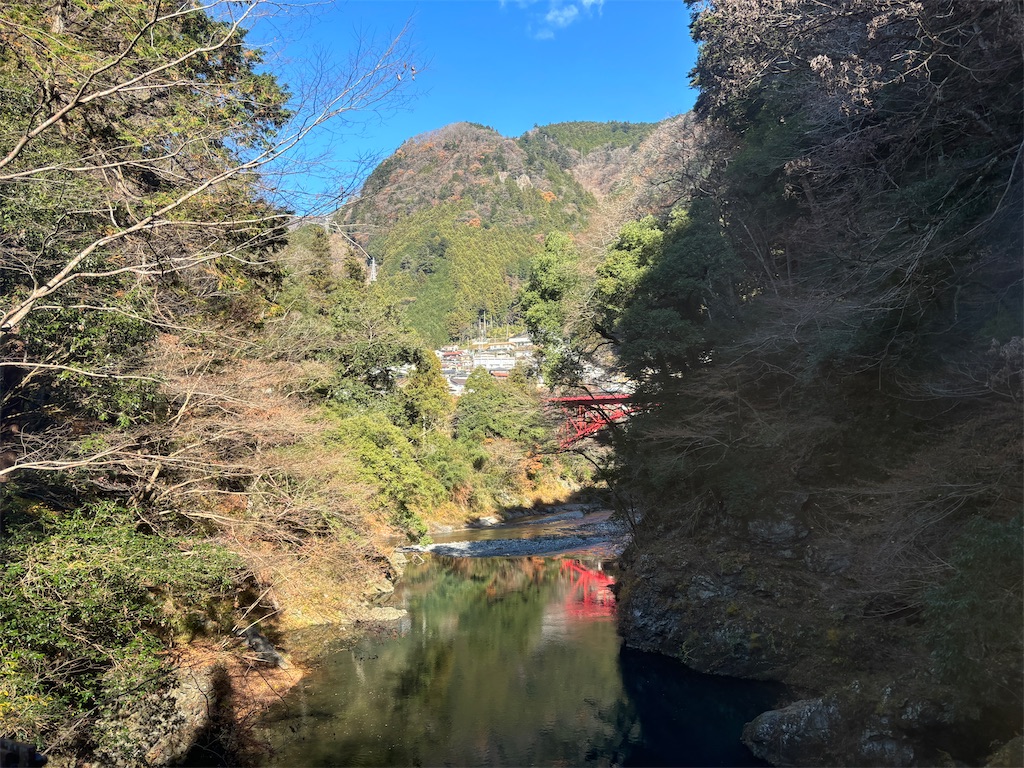 f:id:hanamotohodaka:20251231232426j:image