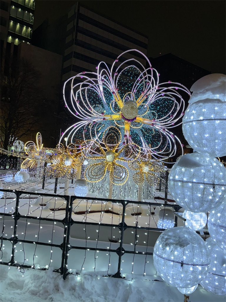 f:id:hanamotohodaka:20251231232810j:image