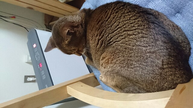 f:id:hanamusubi37:20180301210254j:image f:id:hanamusubi37:20180301210254j:image