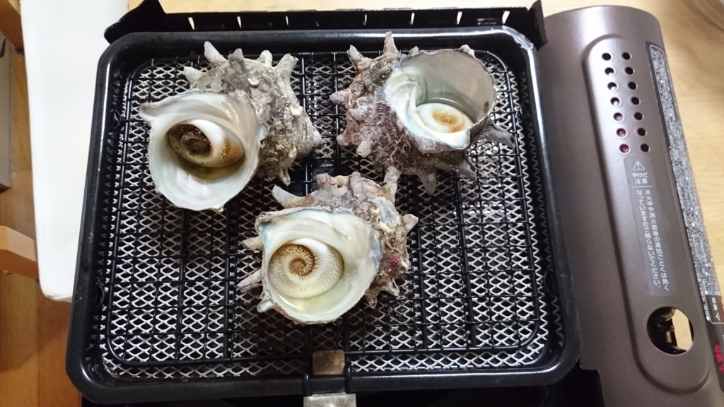 f:id:hanamusubi37:20180305001739j:plain f:id:hanamusubi37:20180305001739j:plain