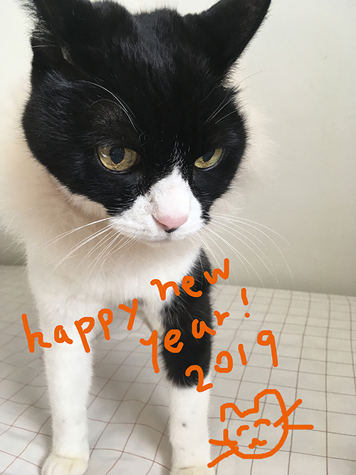 f:id:hananeco:20190104230432j:plain