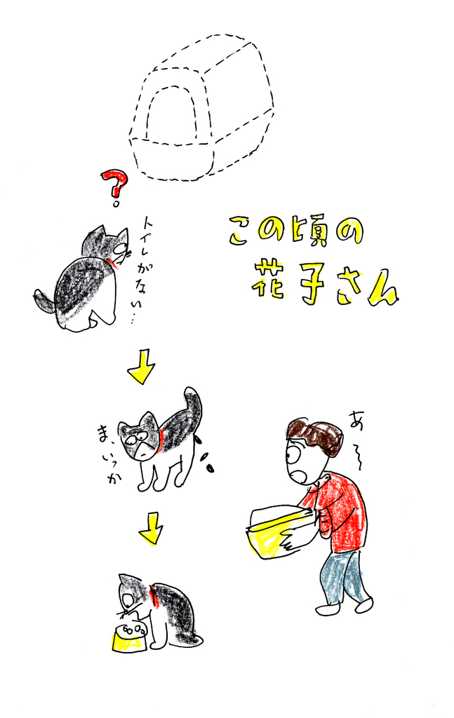 f:id:hananeco:20190104231845j:plain