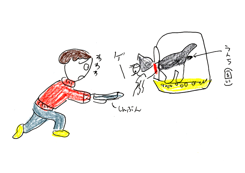 f:id:hananeco:20190104232102j:plain