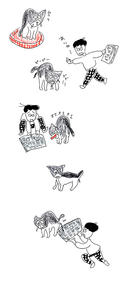 f:id:hananeco:20190613172314j:plain