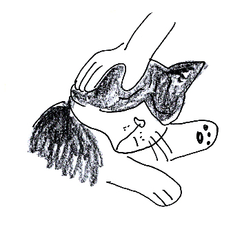 f:id:hananeco:20190613173515j:plain