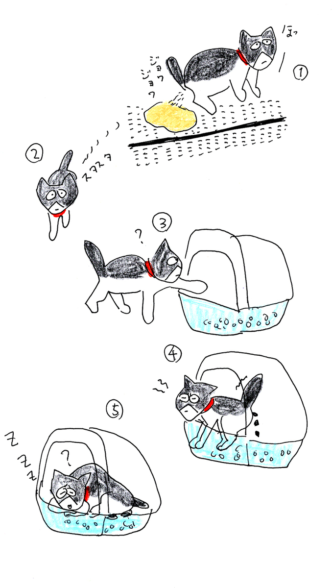 f:id:hananeco:20190909171142j:plain f:id:hananeco:20190909171142j:plain