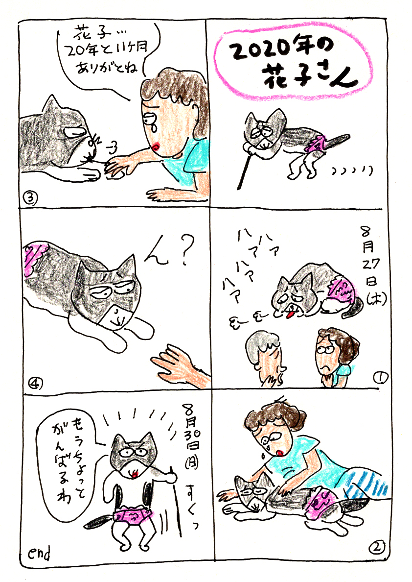 f:id:hananeco:20200907181809j:plain
