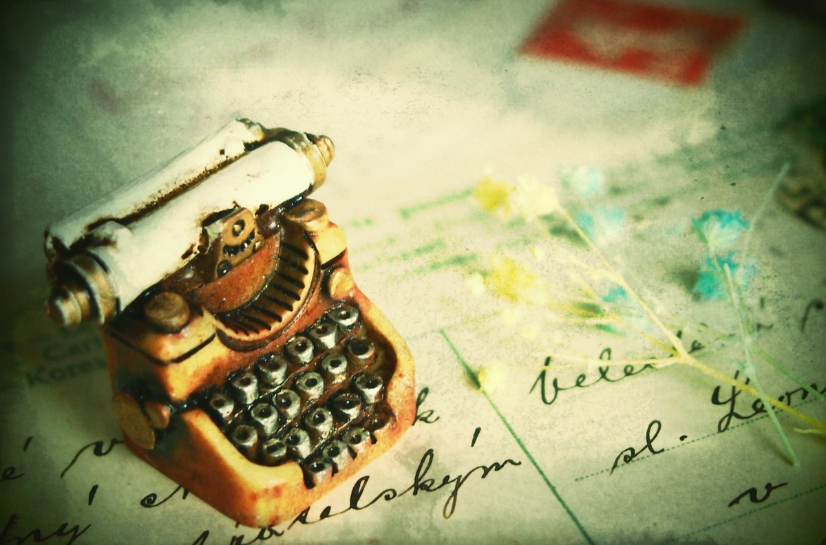 f:id:hananekochang:20190619130335j:plain