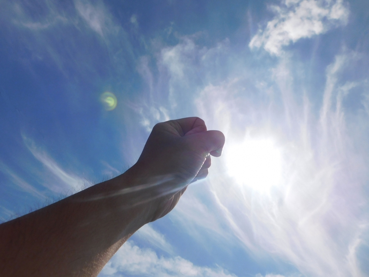 f:id:hananekochang:20190723205839j:plain