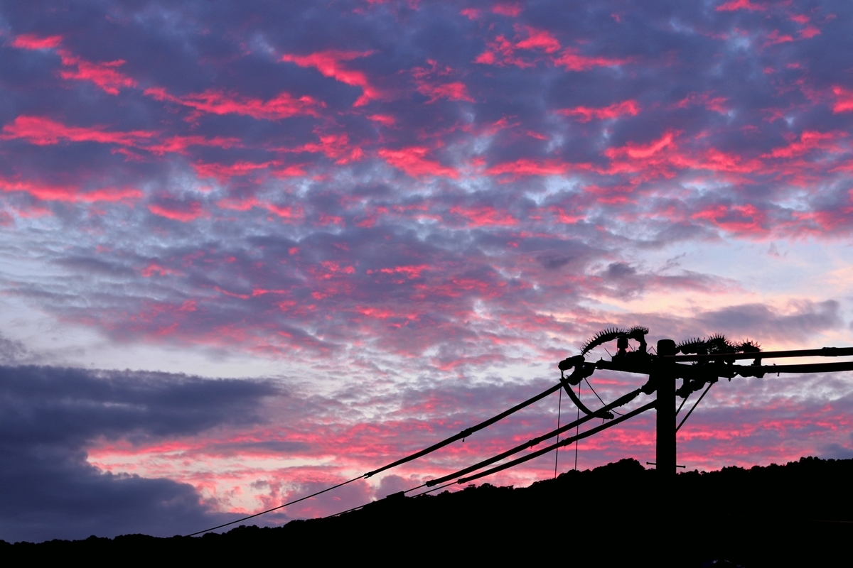 f:id:hananekochang:20190731092405j:plain