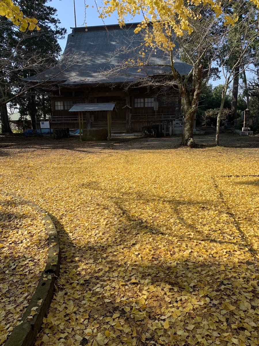 f:id:hananekochang:20191213095124j:plain f:id:hananekochang:20191213095124j:plain