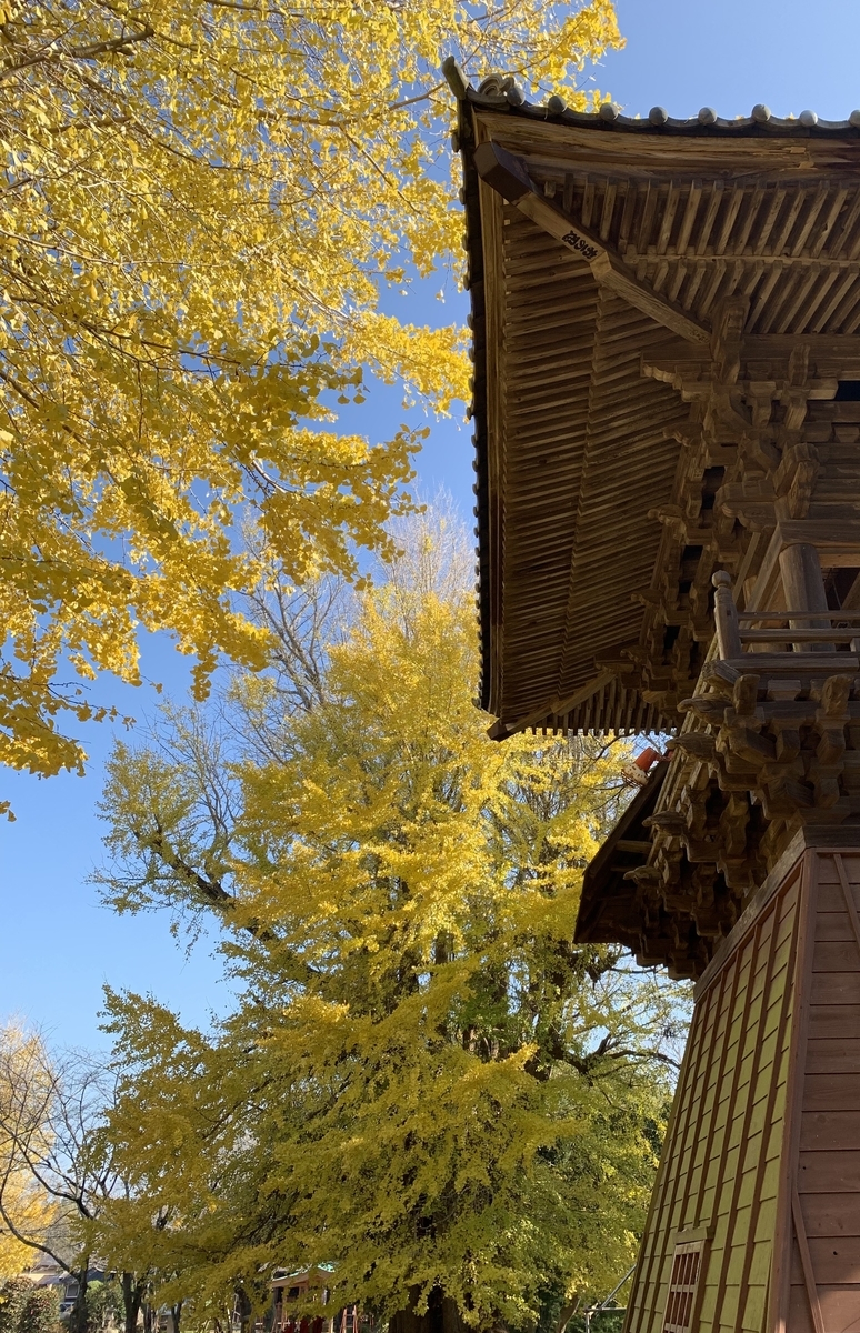 f:id:hananekochang:20191213095136j:plain f:id:hananekochang:20191213095136j:plain