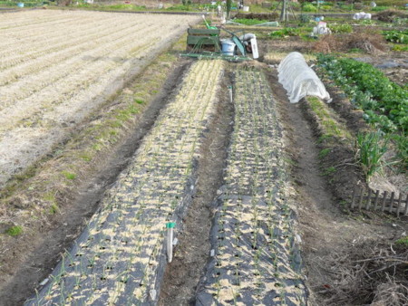 f:id:hananohideji:20091213180716j:image f:id:hananohideji:20091213180716j:image