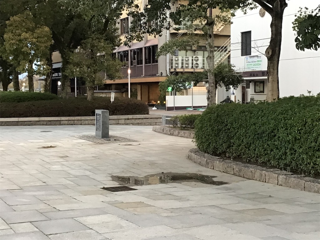 f:id:hananomaboroshi:20210307144610j:image