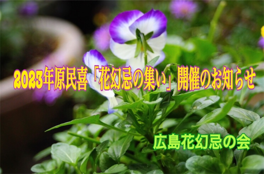 f:id:hananomaboroshi:20230312141519j:image