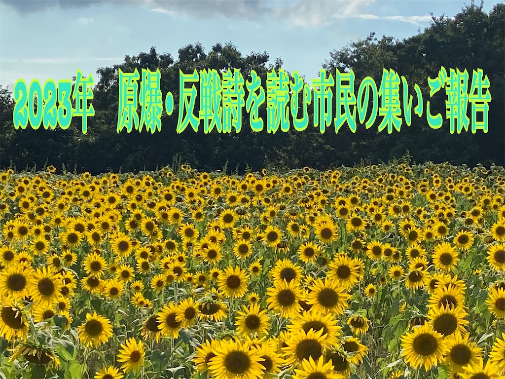 f:id:hananomaboroshi:20230817220752j:image