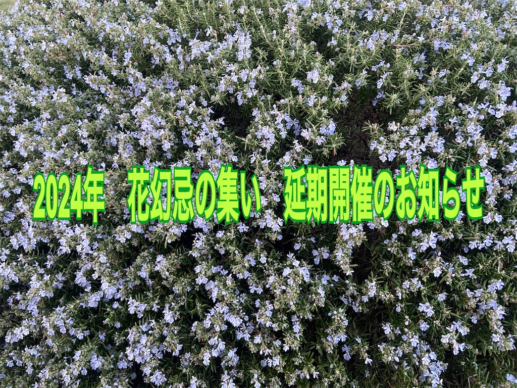 f:id:hananomaboroshi:20240302114710j:image