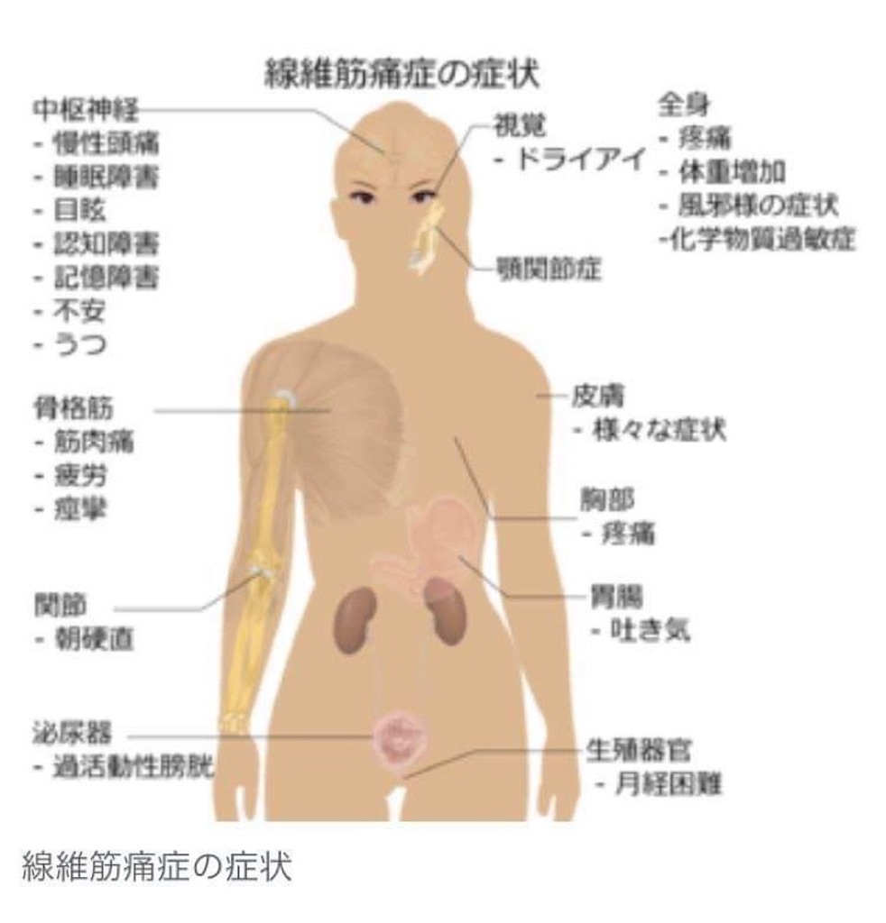 f:id:hananosato035:20210416090702j:image f:id:hananosato035:20210416090702j:image