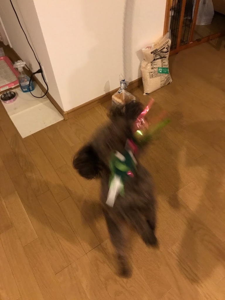 f:id:hananoutako:20180223162848j:plain f:id:hananoutako:20180223162848j:plain
