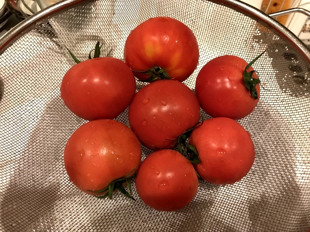 f:id:hananoutako:20180602154415j:plain f:id:hananoutako:20180602154415j:plain