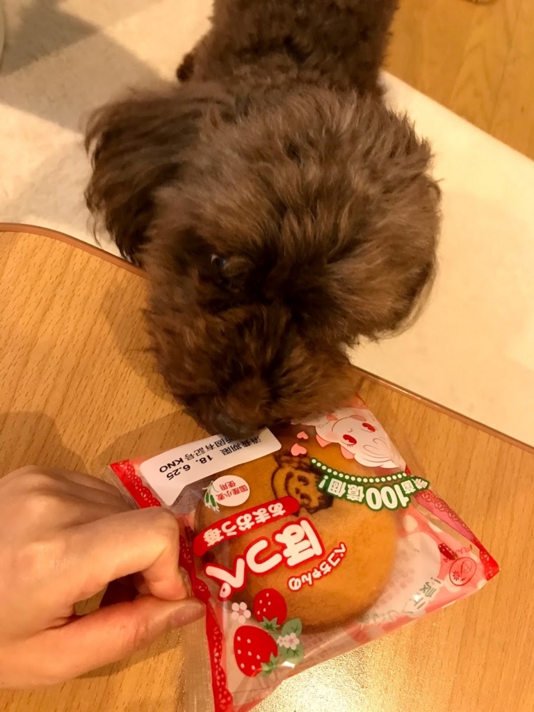 f:id:hananoutako:20180623174328j:plain f:id:hananoutako:20180623174328j:plain