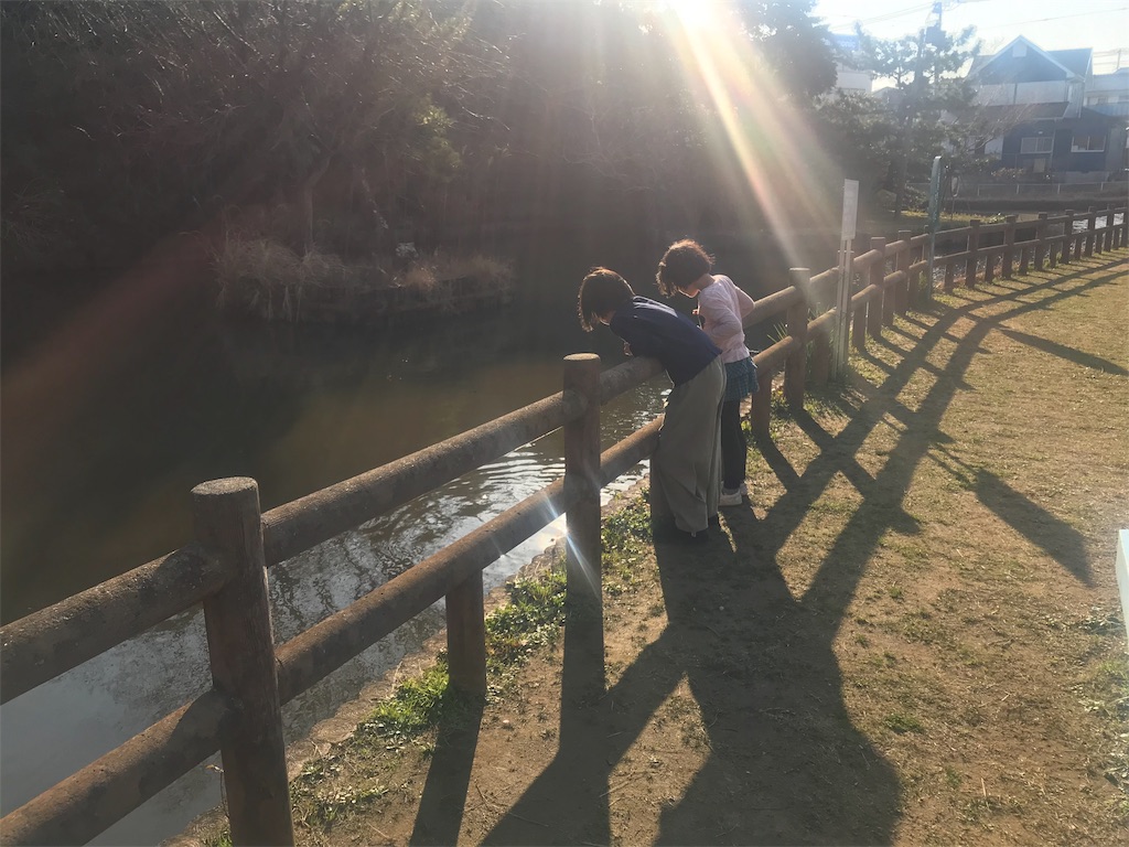 f:id:hanapeko8:20190515115503j:image f:id:hanapeko8:20190515115503j:image