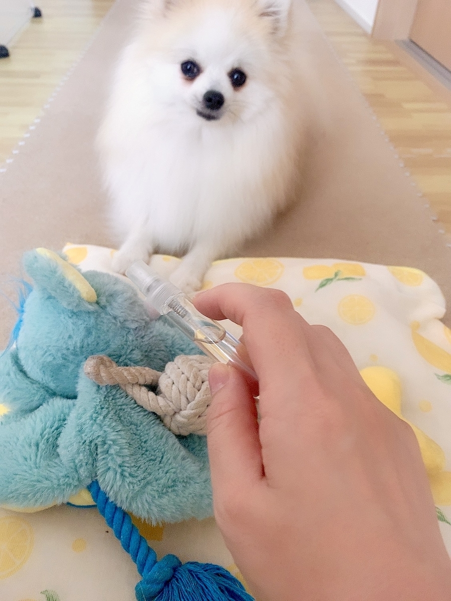 f:id:hanapome412:20210923131303j:plain