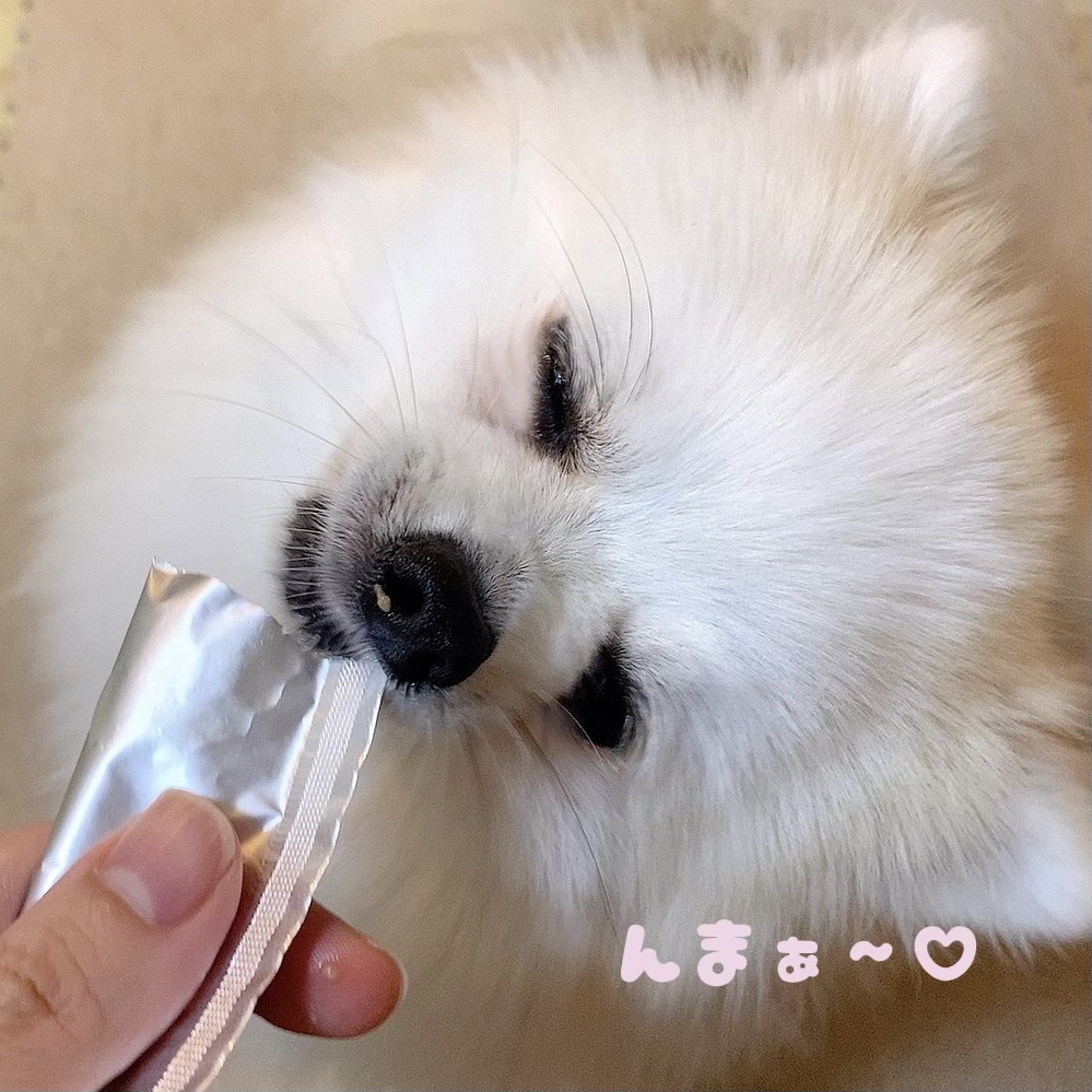 f:id:hanapome412:20211108115715j:plain