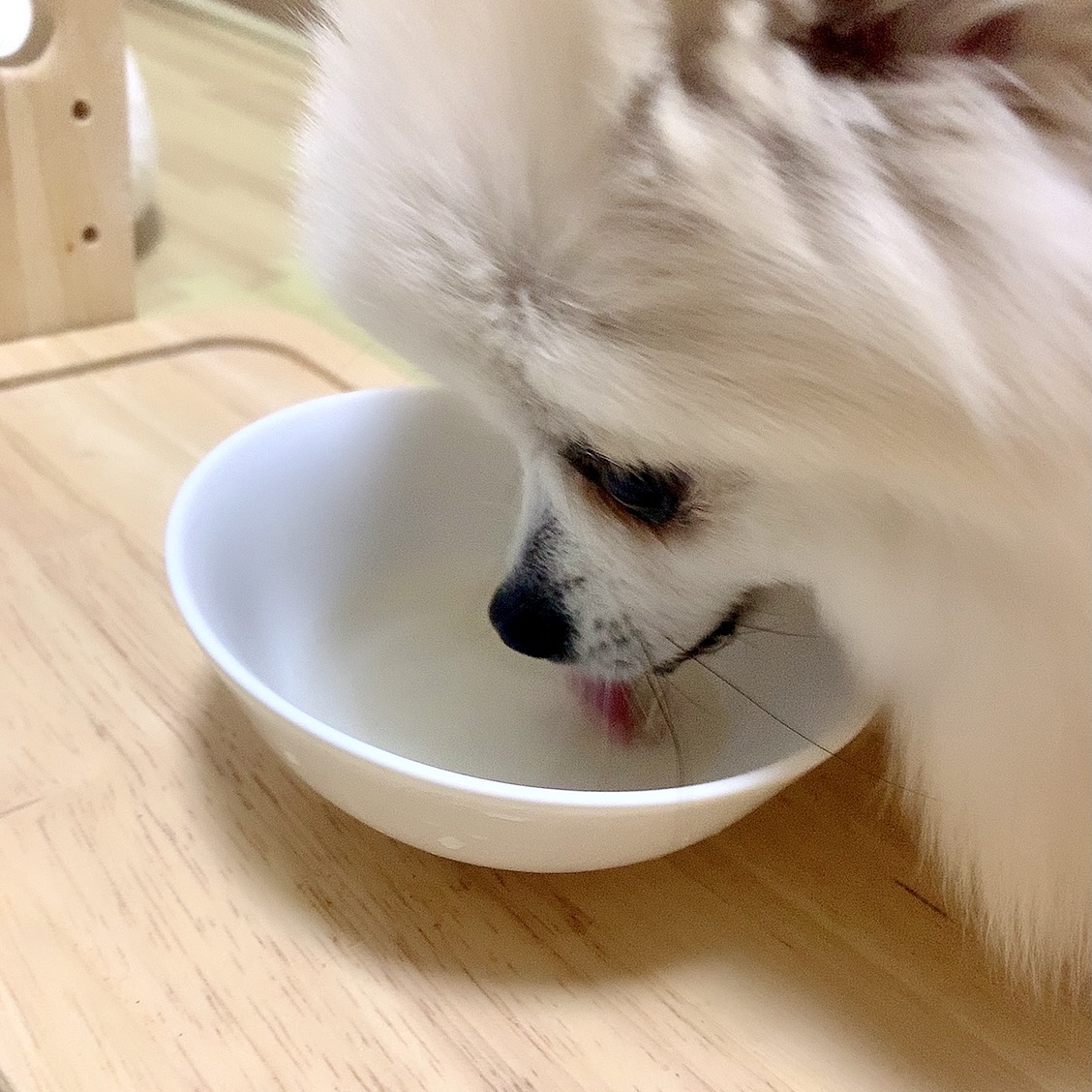 f:id:hanapome412:20211117042735j:plain