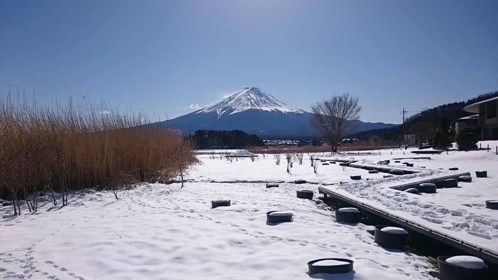 f:id:hanaregasa:20180128203804j:plain